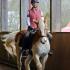 Dressage Clinic with Julio Mendoza